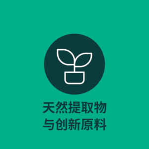 12个小标-02