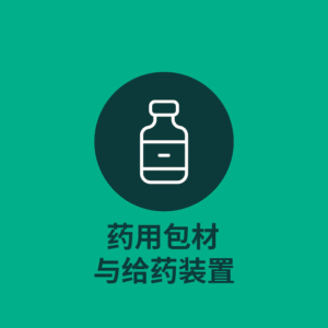 12个小标-12
